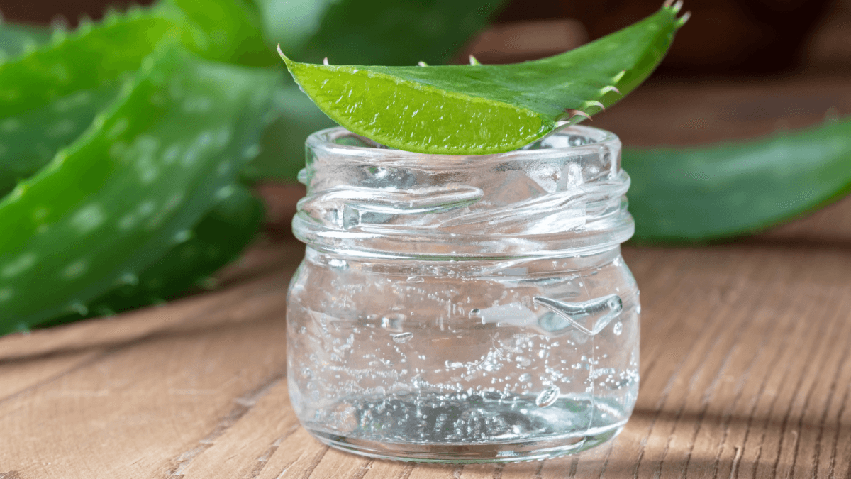 Unabhängiger Distributor: So verkaufen Sie erfolgreich Aloe Vera Forever Lips