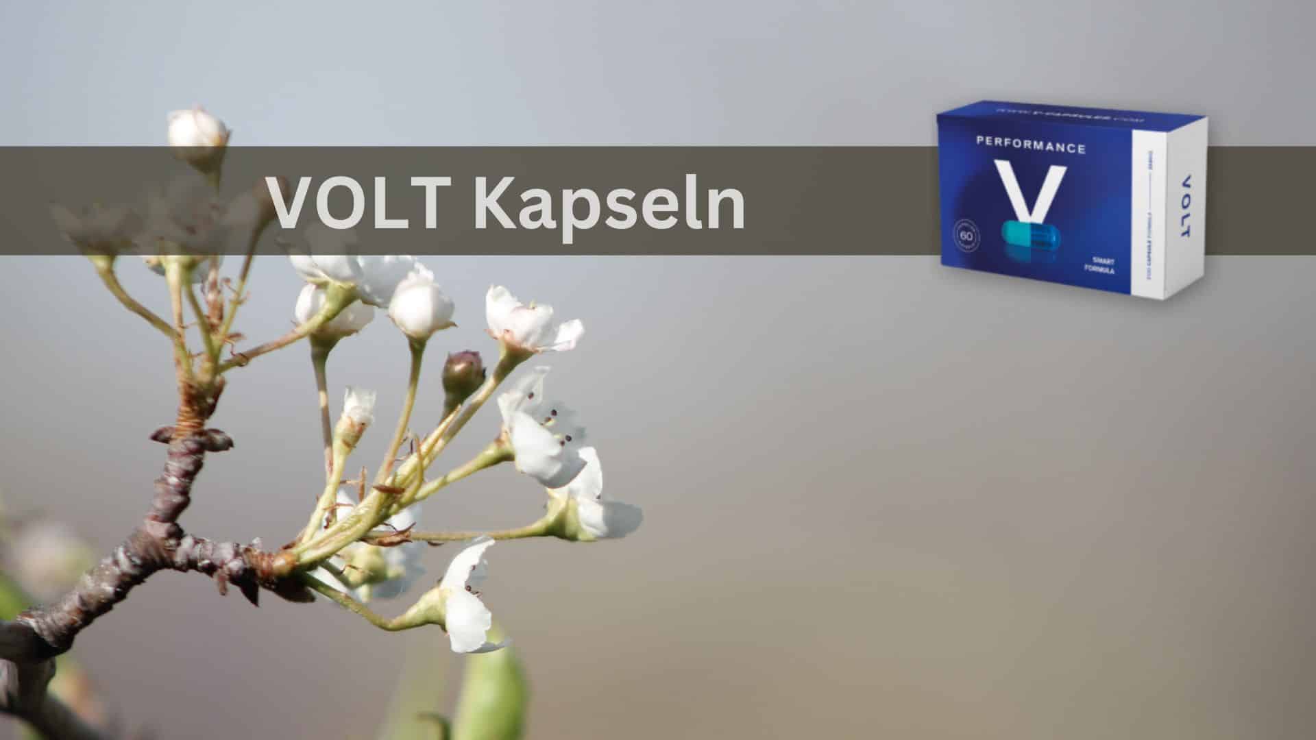 V Performance Kapseln: Leistung, die Sie spüren können