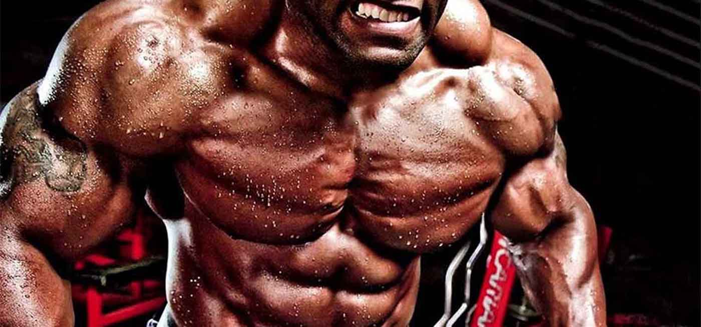 Testosteron Propionat bei Fatburnerking: Der ultimative Kaufguide
