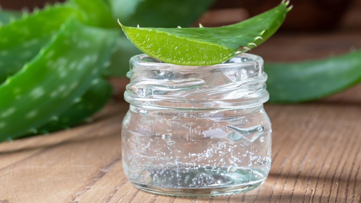 Unabhängiger Distributor: So verkaufen Sie erfolgreich Aloe Vera Forever Lips