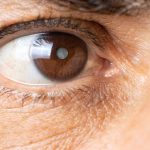 LashLink präsentiert Elan Lamination – Die perfekte Wahl für perfekte Wimpern