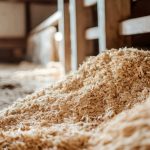 Hanfeinstreu Hühner – Staubfreie Einstreu für gesunde Tiere